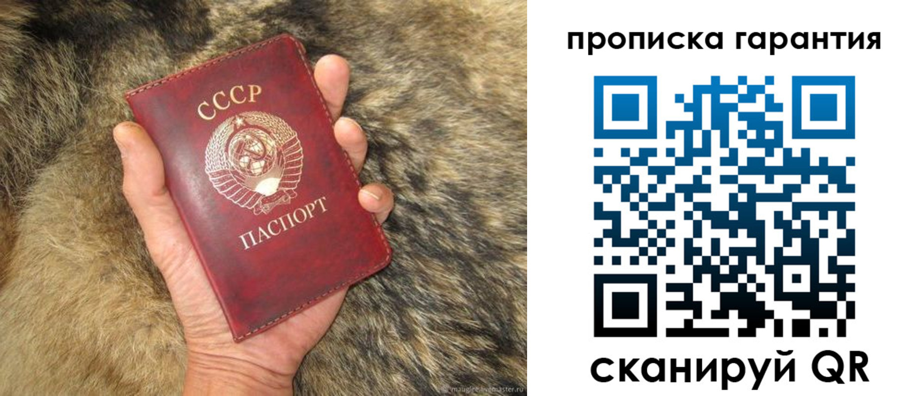 временная регистрация 2025 в Мончегорске